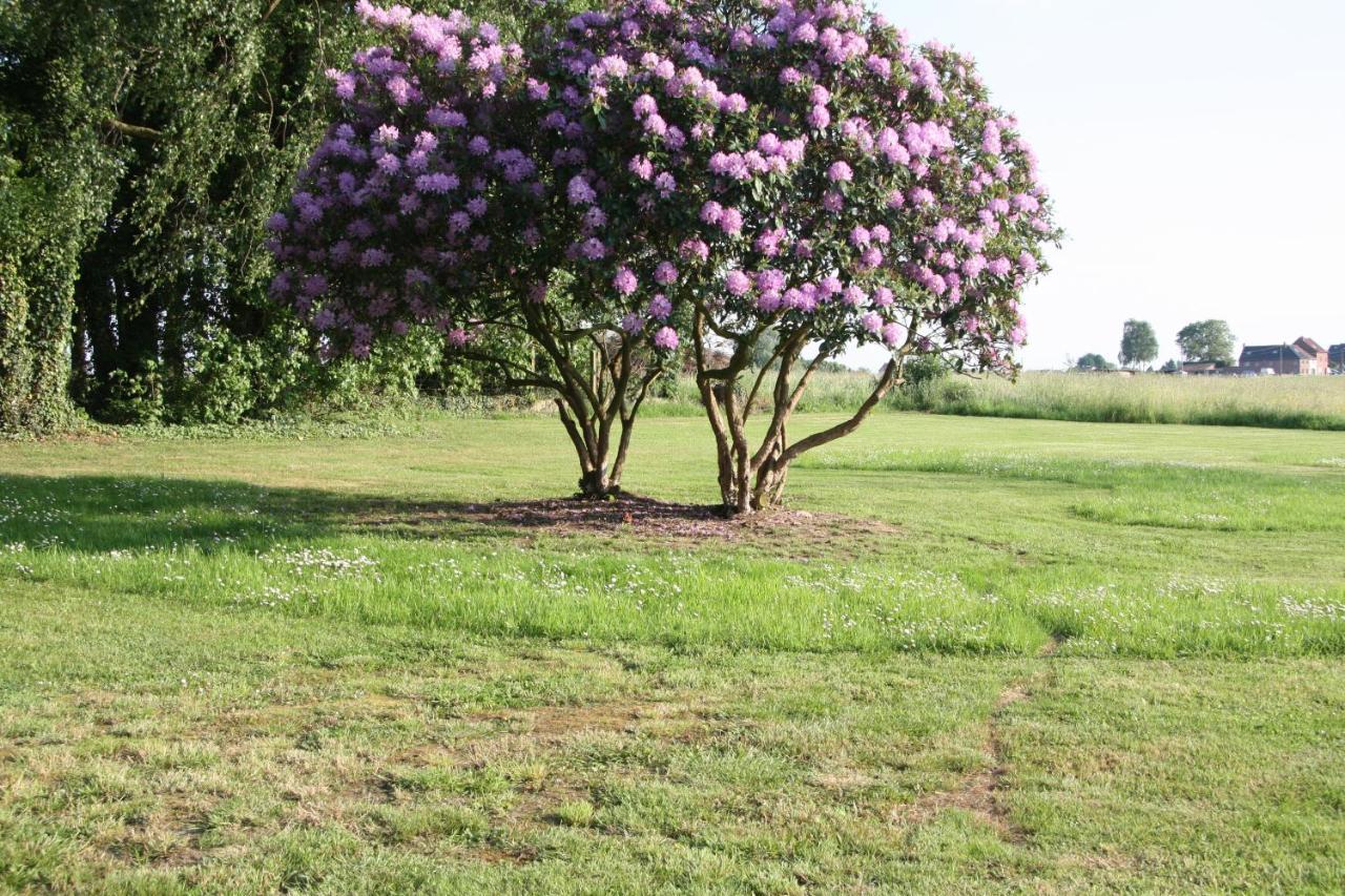 مبيت وإفطار Herne De Rankhove المظهر الخارجي الصورة